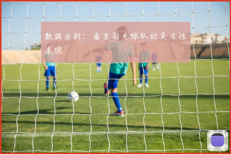 数据分析：南京羽毛球队的灵活性表现