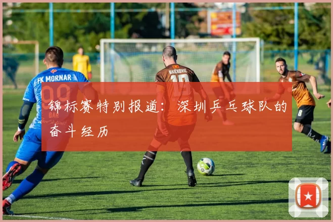 锦标赛特别报道：深圳乒乓球队的奋斗经历
