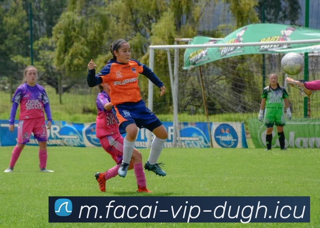 开云体育服务体系