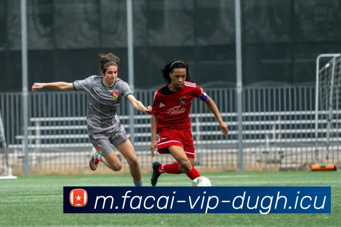 开云体育注册APP 体育赛事宣传图